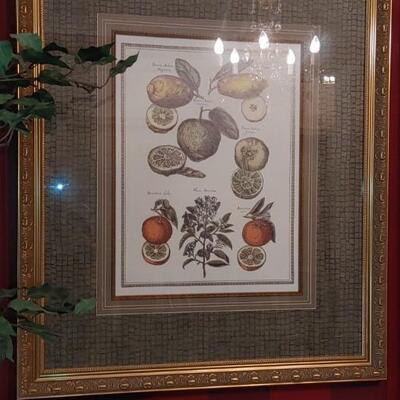 #51 Gorgeous Framed Botanical Fruit Print