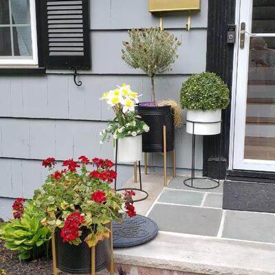 8 flower pots and stands and plants! 