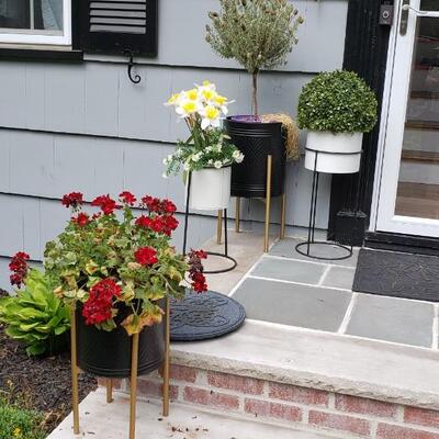 8 flower pots and stands and plants! 