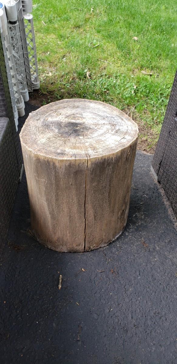 Tree stump stool