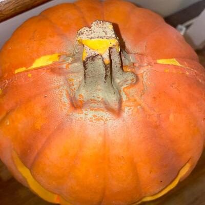 #73 Awesome Pumpkin & Gourd Fall Decor 