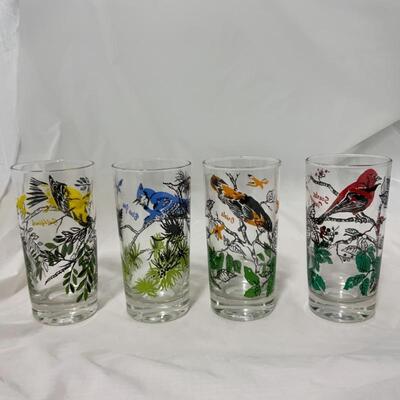 -197- VINTAGE | Six Bird Glasses | Goldfinch | Blue Bird | Oriole | Scarlet Tanager