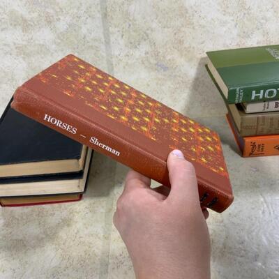 -262- VINTAGE | 8 Books | Zane Grey 