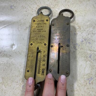 -273- VINTAGE | Hanging Scales | Fish Scales