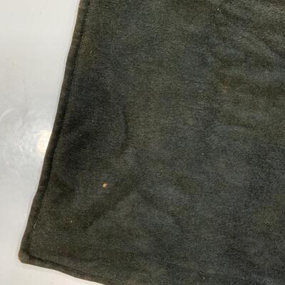 -283- ANTIQUE | 1880s | Carriage Blanket | CASE