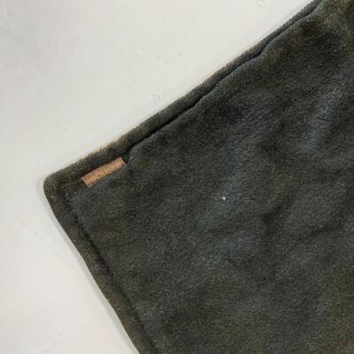 -283- ANTIQUE | 1880s | Carriage Blanket | CASE
