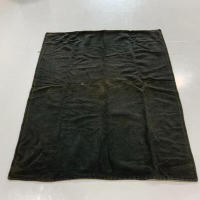 -283- ANTIQUE | 1880s | Carriage Blanket | CASE