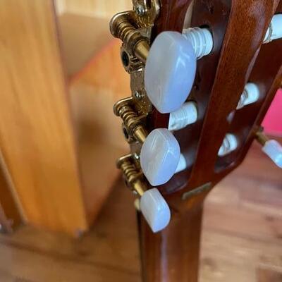 Alvarez Model PC50 6 String Accoustic Guitar plus Stand