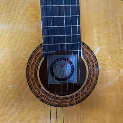 Alvarez Model PC50 6 String Accoustic Guitar plus Stand