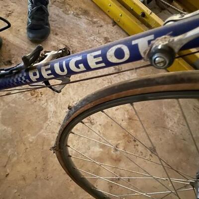 Peugot Racing Bicycle