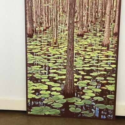 Cypress Trees & Lily Pads (Johnny Chauvin)