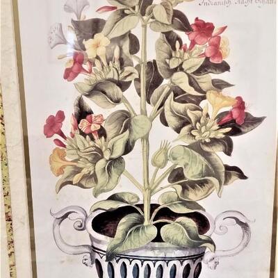 Patton #88  Pair of Decorative Framed Botanical Prints