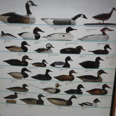 Framed Ducks Unlimited Decoy poster 