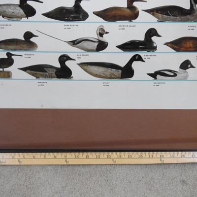 Framed Ducks Unlimited Decoy poster 