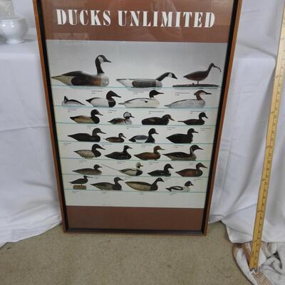 Framed Ducks Unlimited Decoy poster 