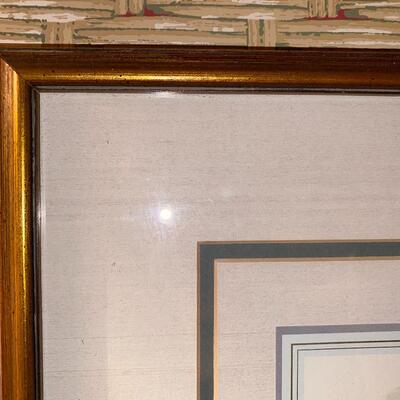 #142 Beautiful Swan Framed Print