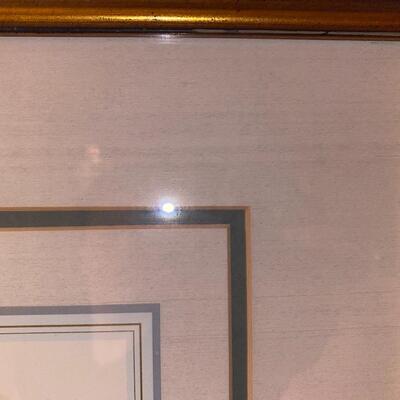 #142 Beautiful Swan Framed Print