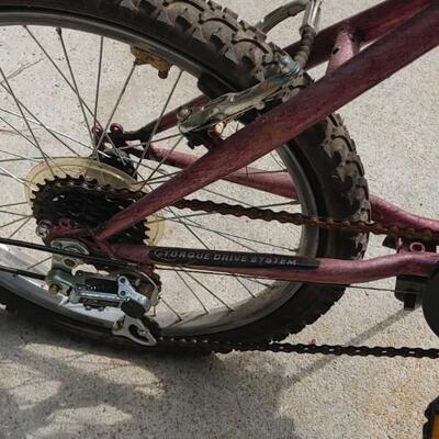 #153 Roadmaster Childs Mountain Bike