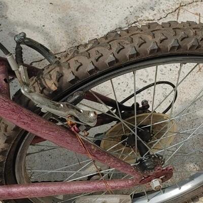 #153 Roadmaster Childs Mountain Bike