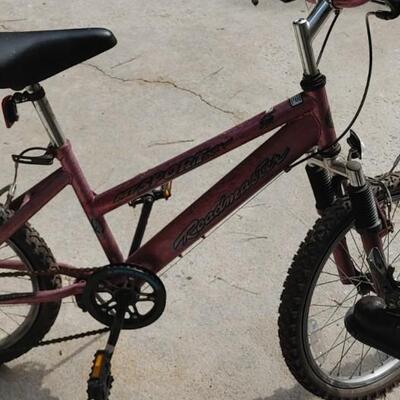 #153 Roadmaster Childs Mountain Bike