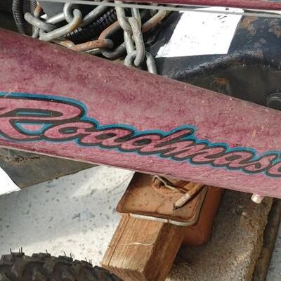 #153 Roadmaster Childs Mountain Bike