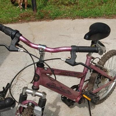 #153 Roadmaster Childs Mountain Bike