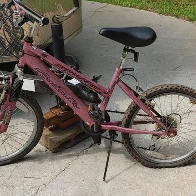 #153 Roadmaster Childs Mountain Bike