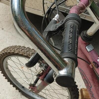 #153 Roadmaster Childs Mountain Bike