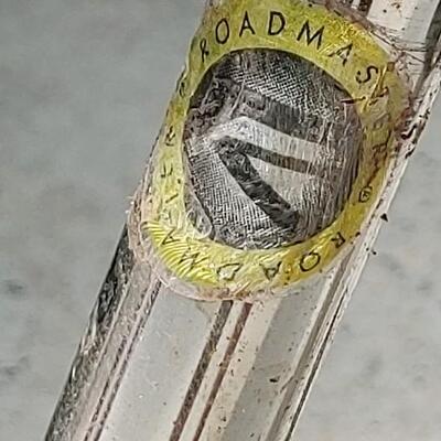 #153 Roadmaster Childs Mountain Bike