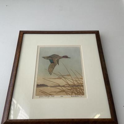 109 Original Signed and Numbered Colored Etching Green Winged Teal by Maurice Webb 
