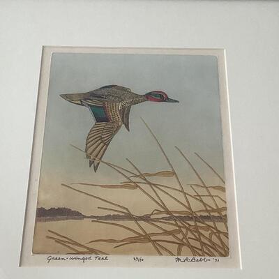 109 Original Signed and Numbered Colored Etching Green Winged Teal by Maurice Webb 