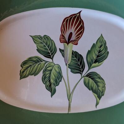 Like New Jack in the Pulpit dishes