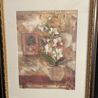 Lot 254  Framed Orchid Print