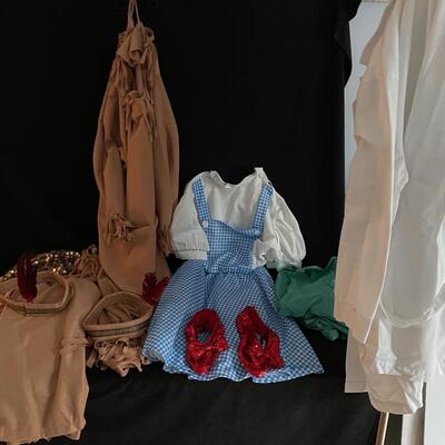 Lot 270  Dress up Clothes