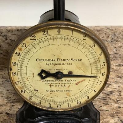 D613 Vintage Columbia Family Scale