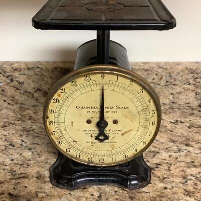 D613 Vintage Columbia Family Scale