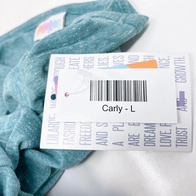 *NEW* LULAROE â€œCARLYâ€ AQUA SWING DRESS - SIZE LARGE