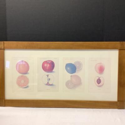 213 Framed Fruit Print with Certificate of Authenticity 