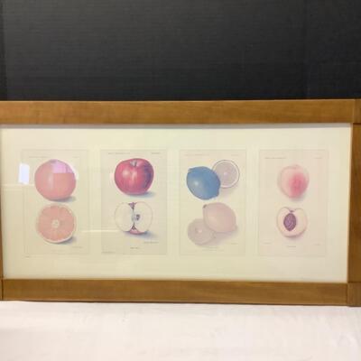 213 Framed Fruit Print with Certificate of Authenticity 