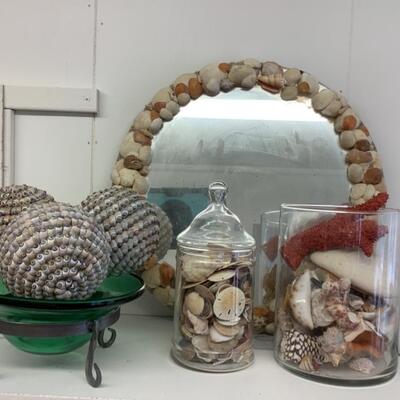 314. Sea Shell Lot 