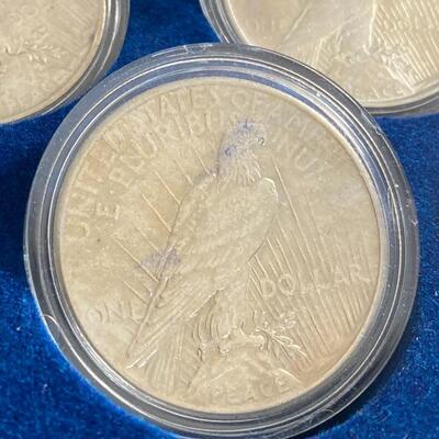 Collection of 5 Peace Silver Dollars