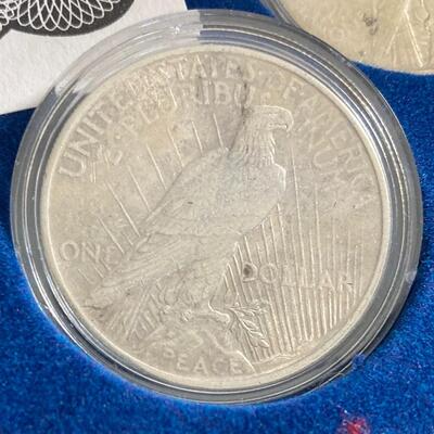 Collection of 5 Peace Silver Dollars