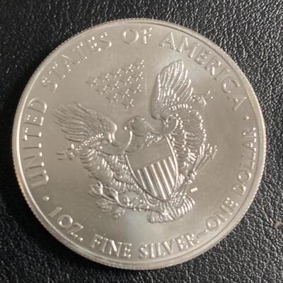 Pair of 2013 Silver Coins 1 oz each 