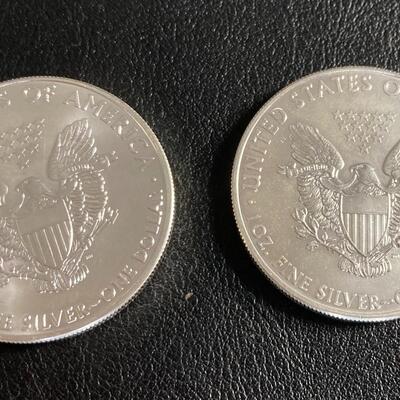 Pair of 2013 Silver Coins 1 oz each 