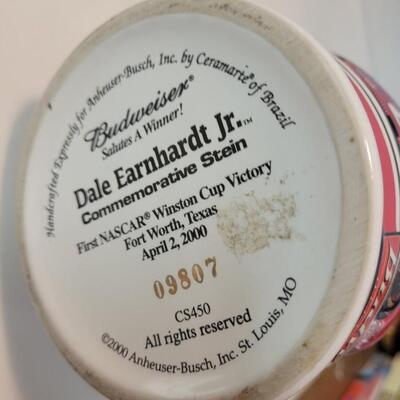 Dale Earnhardt Junior Stein 2000