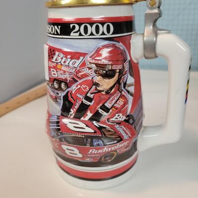Dale Earnhardt Junior Stein 2000