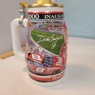 Dale Earnhardt Junior Stein 2000