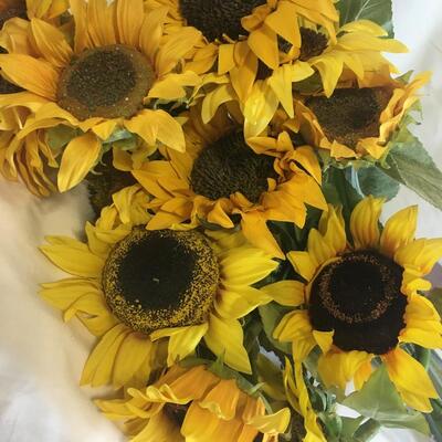 Lot of Sunflowers 