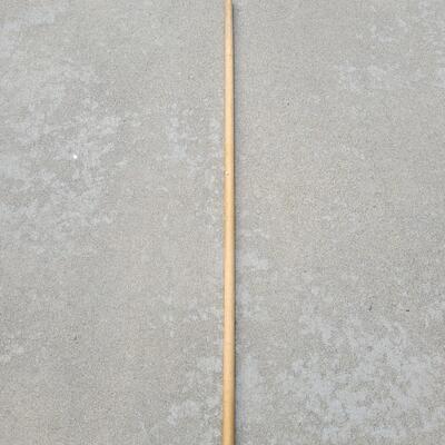 Lot 227: Mop Lot with Extra Broom/Tool Handle