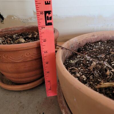 Lot 253: (2) Flower Pot with Dirt